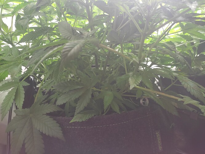 Growreport Bild 4