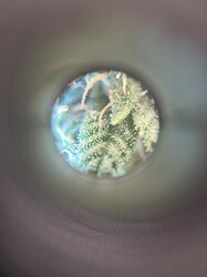 Growreport Bild 8