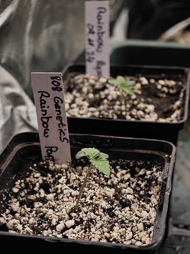Growreport Bild 7