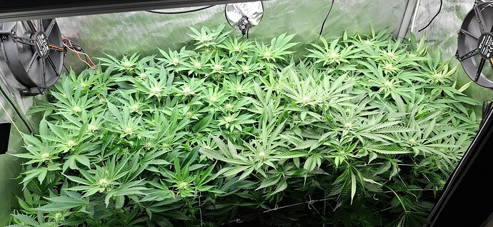 Growreport Bild 10
