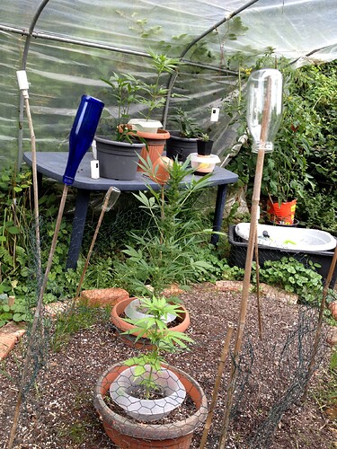 Growreport Bild 13