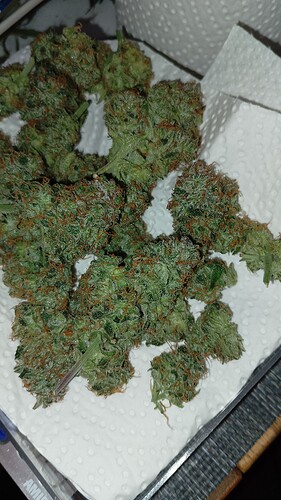 Growreport Bild 2