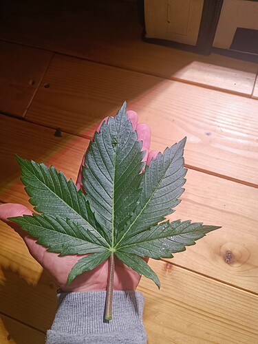 1000062296