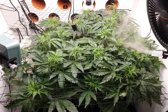 Growreport Bild 1
