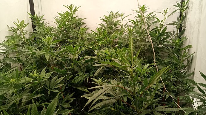 Growreport Bild 10