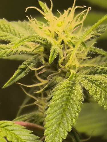 Growreport Bild 13