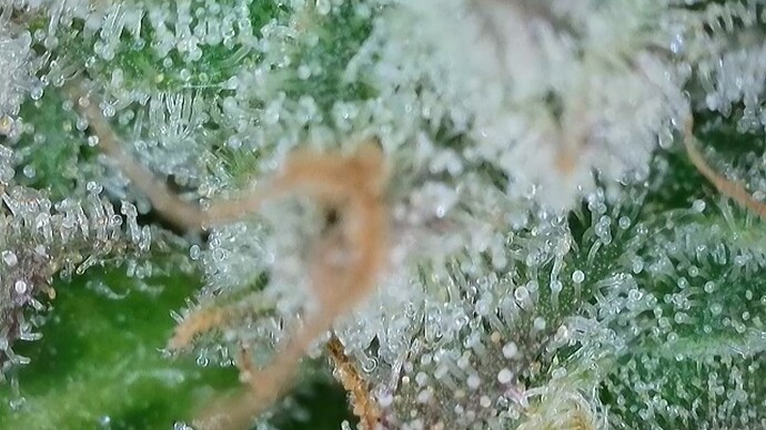 Growreport Bild 20