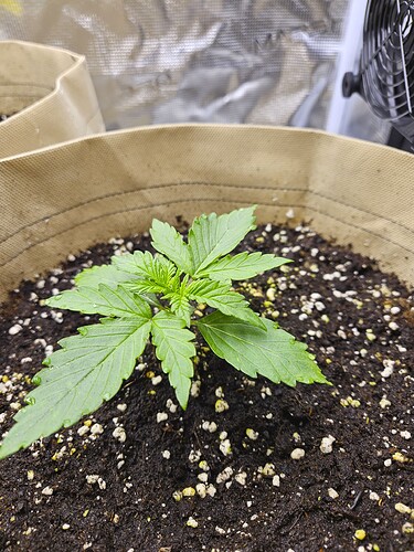 Growreport Bild 19