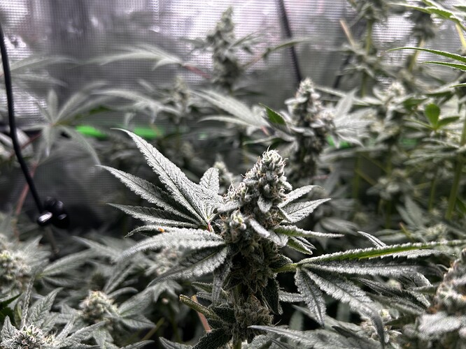 Growreport Bild 11