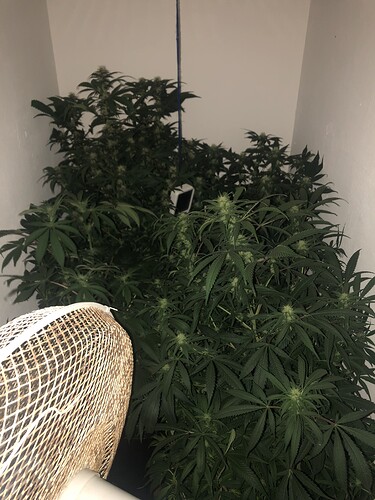 Growreport Bild 5
