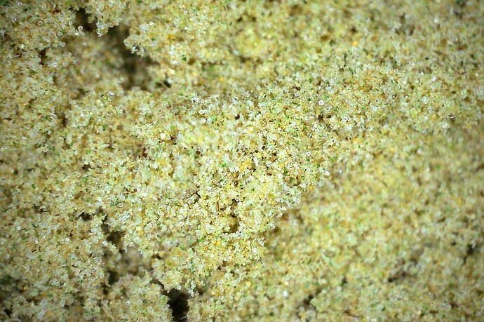 Charge2_Sift_1_01_kief