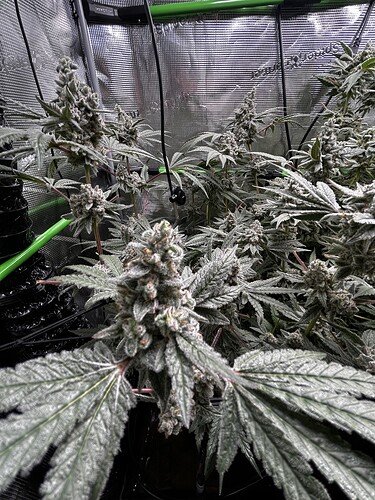Growreport Bild 8