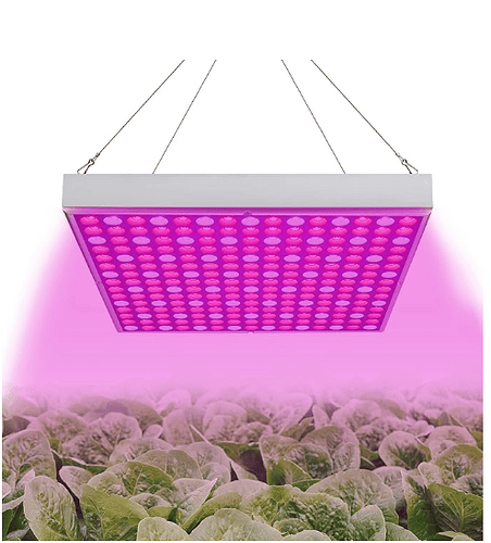 Screenshot 2025-11-07 044108