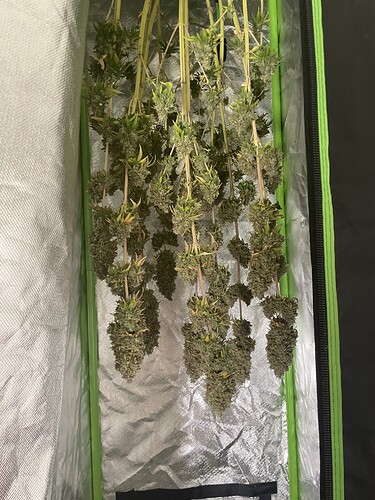 Growreport Bild 1