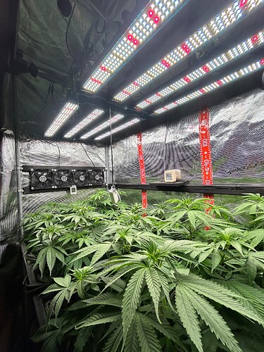 Growreport Bild 20