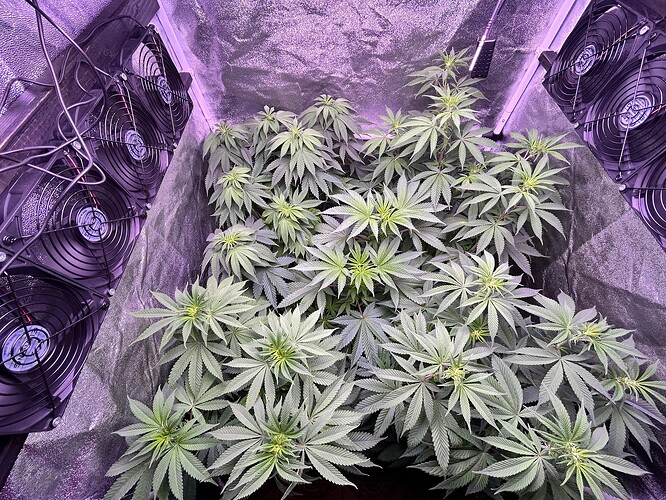 Growreport Bild 23