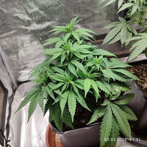 WhatsApp Image 2026-03-08 at 13.47.10