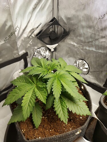Growreport Bild 3