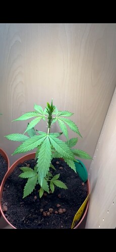 Screenshot_20240604_225018_Gallery