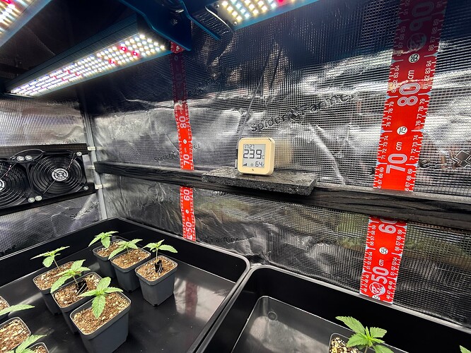 Growreport Bild 18