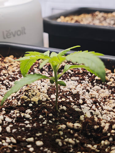 Growreport Bild 14