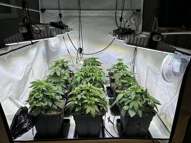 Growreport Bild 12