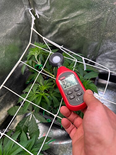 Growreport Bild 72