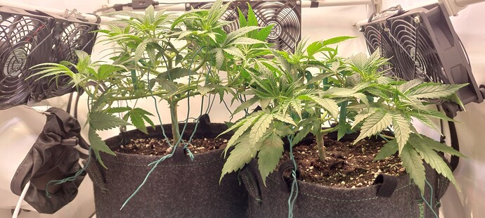 Growreport Bild 7
