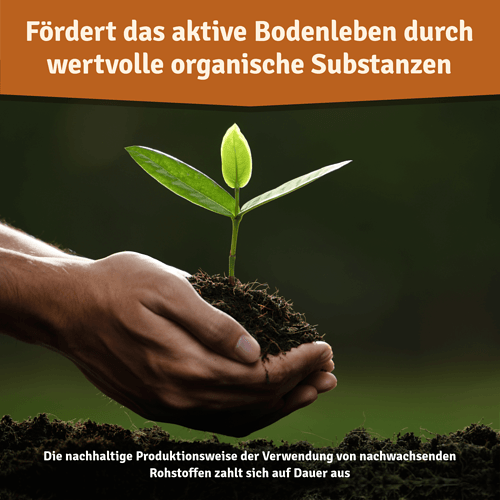 VGAutumnFertilizAmazonIMG03_1946x (1)