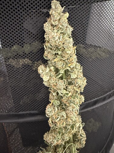 Growreport Bild 19