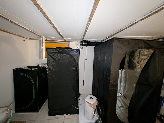 Growreport Bild 8