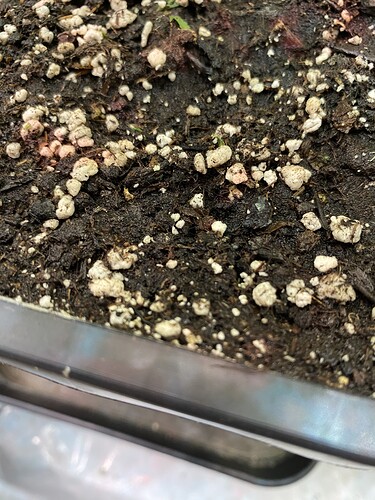 Growreport Bild 18