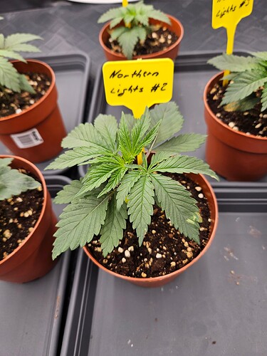 Growreport Bild 30