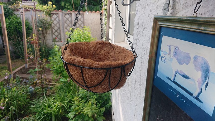 Growreport Bild 7
