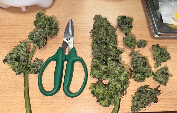 Growreport Bild 27
