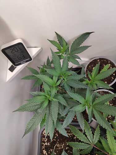 WhatsApp Image 2024-05-25 at 20.03.44 (1)