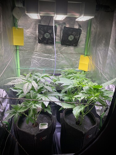 Growreport Bild 11
