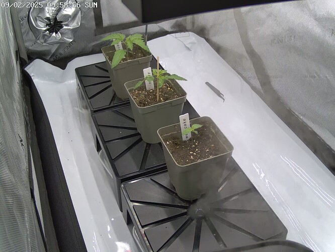 Growreport Bild 7