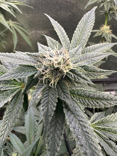 Growreport Bild 16