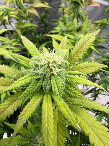 Growreport Bild 21