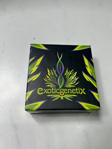 Growreport Bild 71