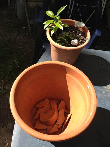 Growreport Bild 38