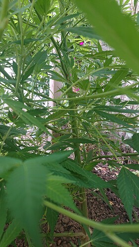 Growreport Bild 26