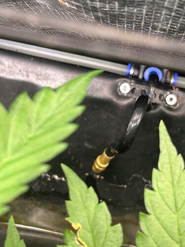 Growreport Bild 40