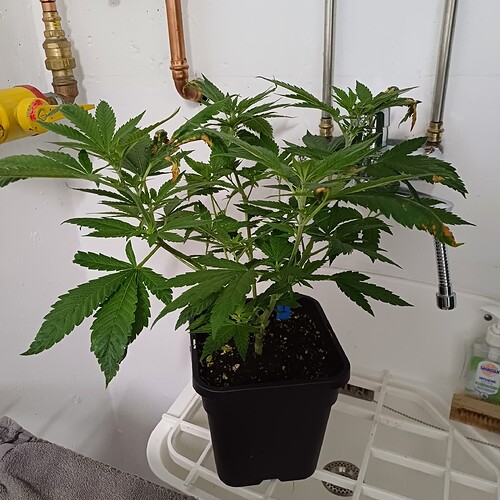 Growreport Bild 21