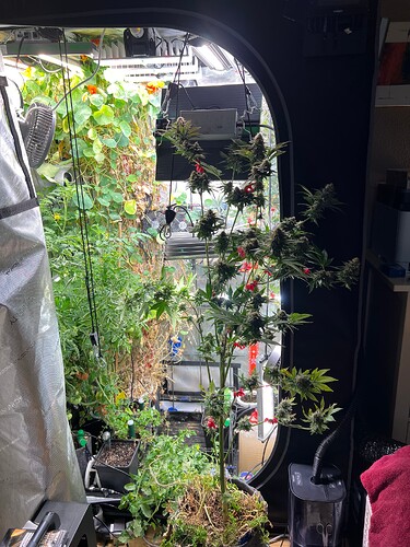 Growreport Bild 7