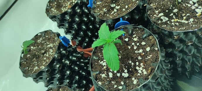 photo_5445148517438969841_y