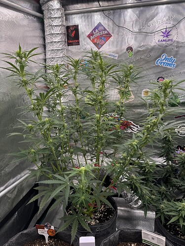 Growreport Bild 16