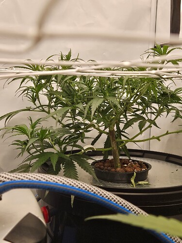 Growreport Bild 8