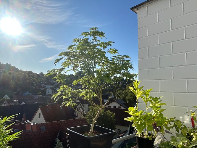 Growreport Bild 24